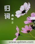 归词谱