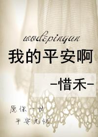 我的平安年作文