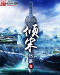 倾宋未删减版txt最新章节