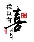 微臣有罪番外