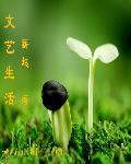 文艺的生活是怎么样的