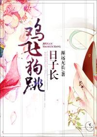鸡飞狗跳日子长讲的什么