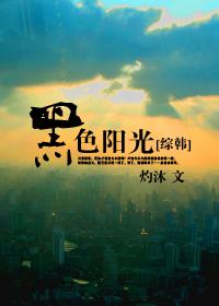 黑色阳光 韩剧