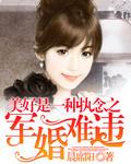 盛世军婚全文免费阅读完结版