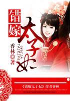 错嫁太子妃2第四章攻略