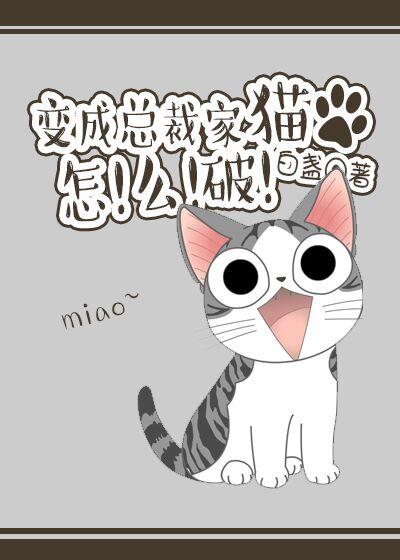 总裁变成我的猫免费
