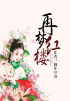 再无红楼