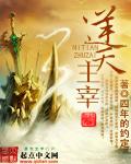 逆天城主百科