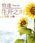 谁的等待恰逢花开TXT
