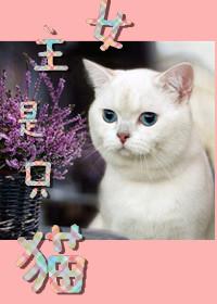 女主是只小猫