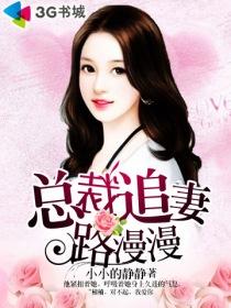 婚期陌路总裁追妻路漫漫