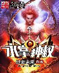 斗罗风掌神权