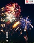 首尔世界烟花节