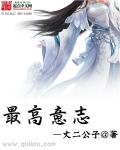 最高意志是什么意思