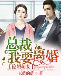 隐婚总裁免费全文