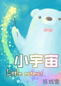 小宇宙是谁