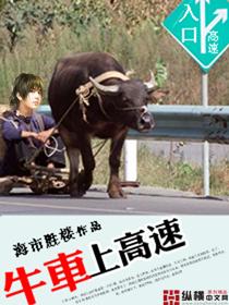牛车上高速最高时速多少