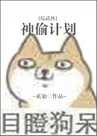 综武侠神偷计划倾海酒
