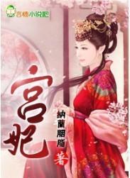 宫妃风华录萧执攻略