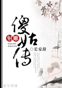 射雕傻姑传TXT电子书