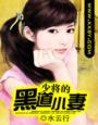 少将的黑道小妻txt