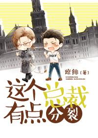 这个总裁有点分裂漫画