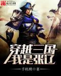 穿越三国我是张辽的大哥的大全