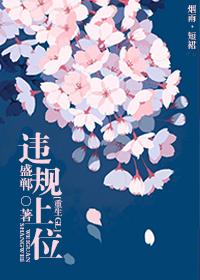 什么是违反上位法原则