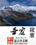 圣宠宠物美容培训