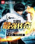 我是传奇完整版