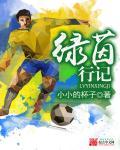 绿茵奇迹正版