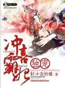 独宠冲喜夫郎好看吗