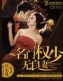 名门权少无良妻txt