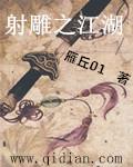新射雕群侠传之铁血丹心官网