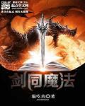 魔法与剑的动漫