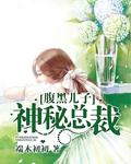 腹黑儿子特工妈全文阅读免费