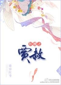 红楼之贾赦会武功医术