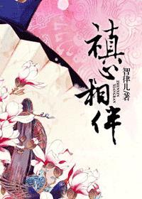 赤诚心相伴