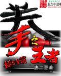 王者之拳哪一集