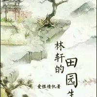 关于林轩