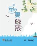 军妻在线听
