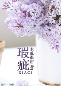 瑕疵屏幕是什么意思