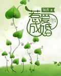 总裁惹爱成婚季凉川顾柔免费阅读