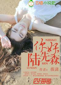 陆先生你好吗