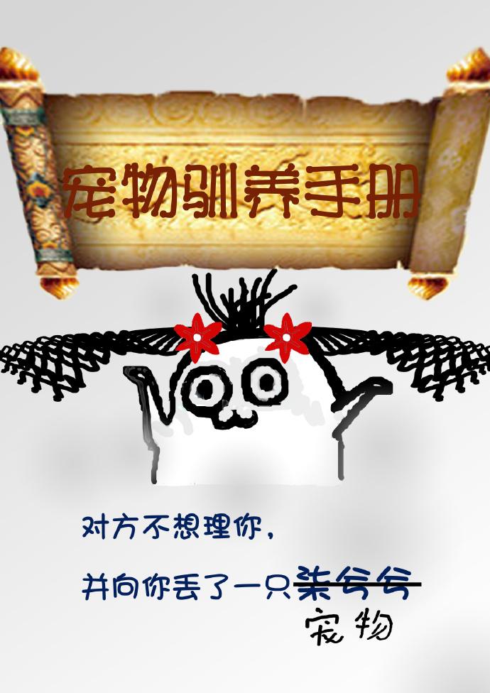 宠物驯养类