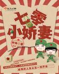 农掌柜