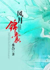 风月锦囊番外篇最新章节更新内容
