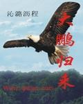 大鹏出世
