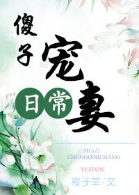 傻子受宠