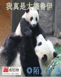 我真是大德鲁伊txt精校